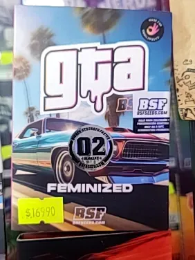 BSF GTA FEM 02
